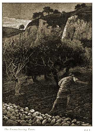 231