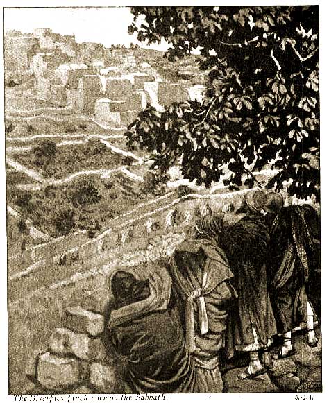 254