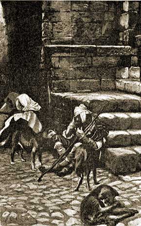 256