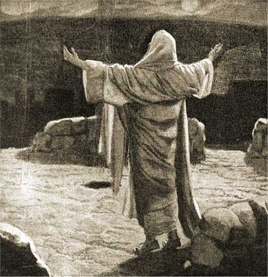 355